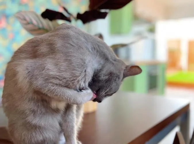 Con Piscina Y Jardin Con Vistas Al Mar *